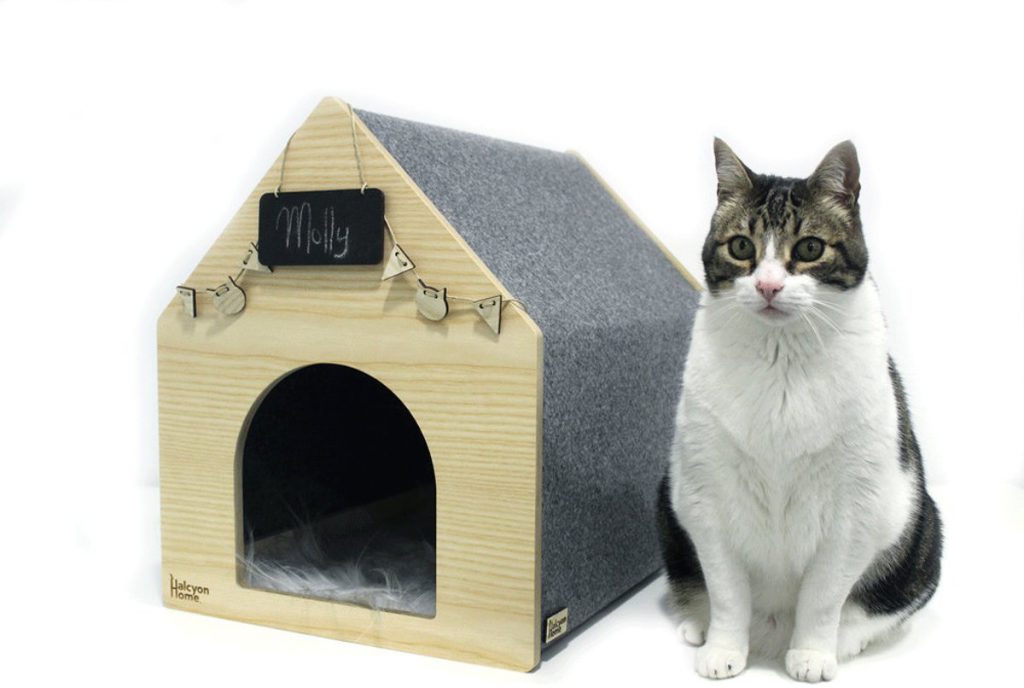 design kattenmeubel Halycon Home Apartment huis