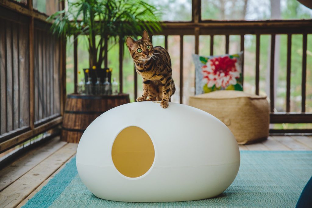 design kattenmeubel sindesign poopoopeedo kattenbak