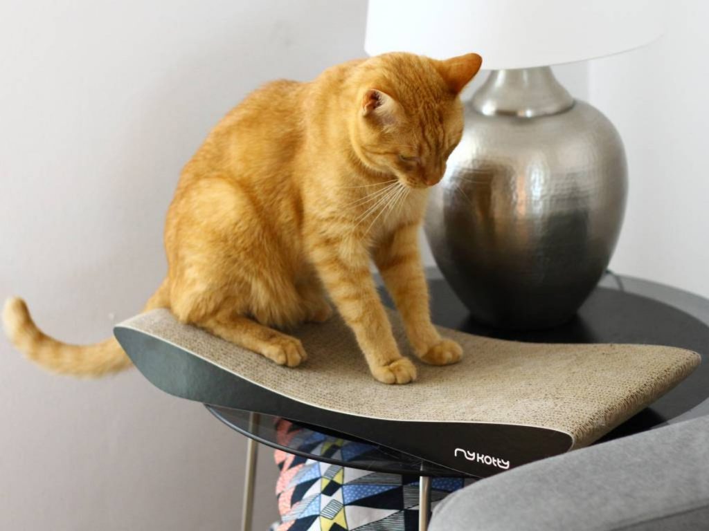 design kattenmeubel