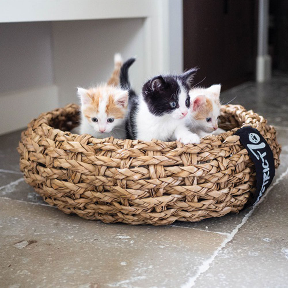 Top 5 design kattenmeubels District 70 mand Cocoon Top 5 design kattenmeubels District 70 mand Cocoon