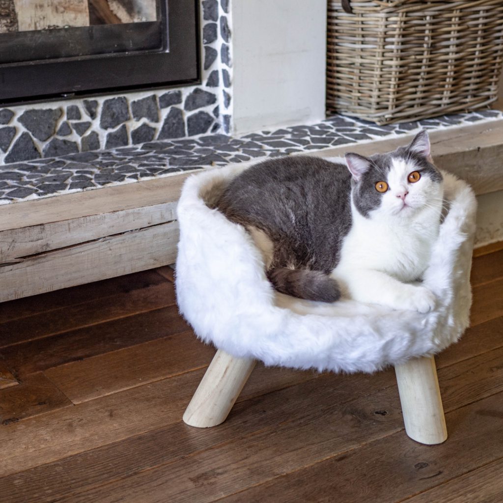 Top 5 design kattenmeubels District 70 mand Nordic zilver Top 5 design kattenmeubels District 70 mand Nordic zilver